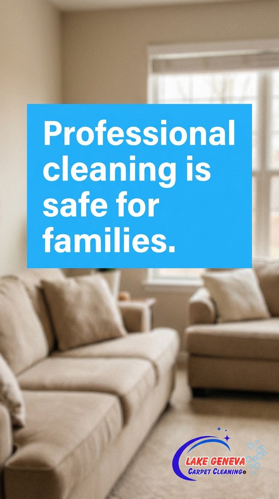 Will a Pro carpet cleaning Tackle Homeowners vs Dust Mites in Lake Geneva